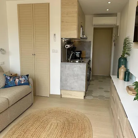Climatise A 200m De La Avec Balcon, Parking Et Menage Inclus - - Fr-1-251-836